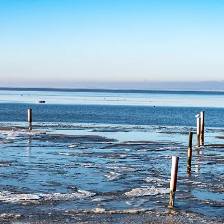 Borkum By Interhome Norddeich (Norden)